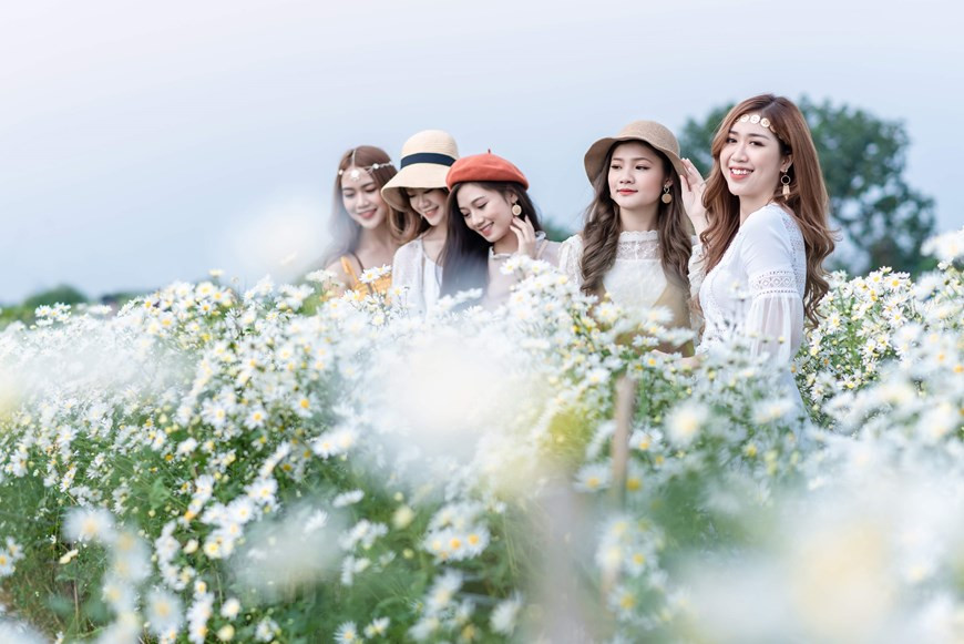 伴随不同花卉的盛开，首都河内都换上了新衣。图自越通社。图自Vietnam+