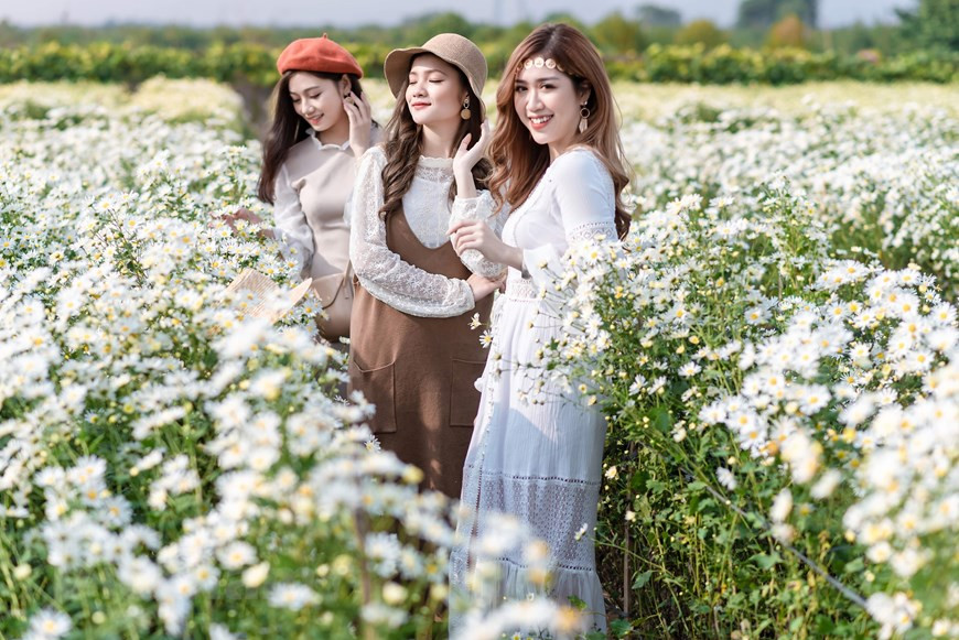 随着洁白雏菊的盛开，该花园接待的游客也越来越多。图自Vietnam+