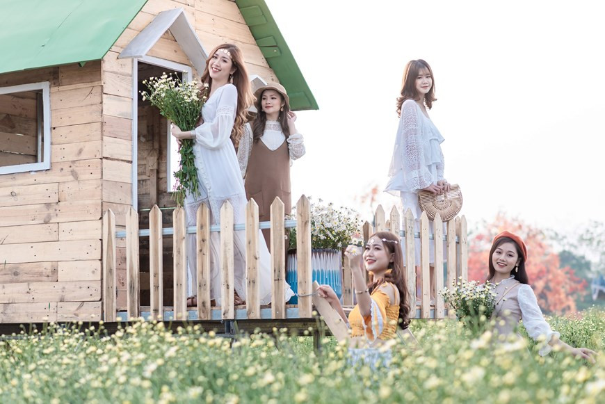 来到红河周边雏菊园的游客们仿佛都想留下这个美丽的瞬间。图自Vietnam+