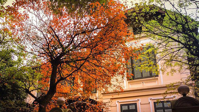 河内季节交换时刻。图自《越南人民报》