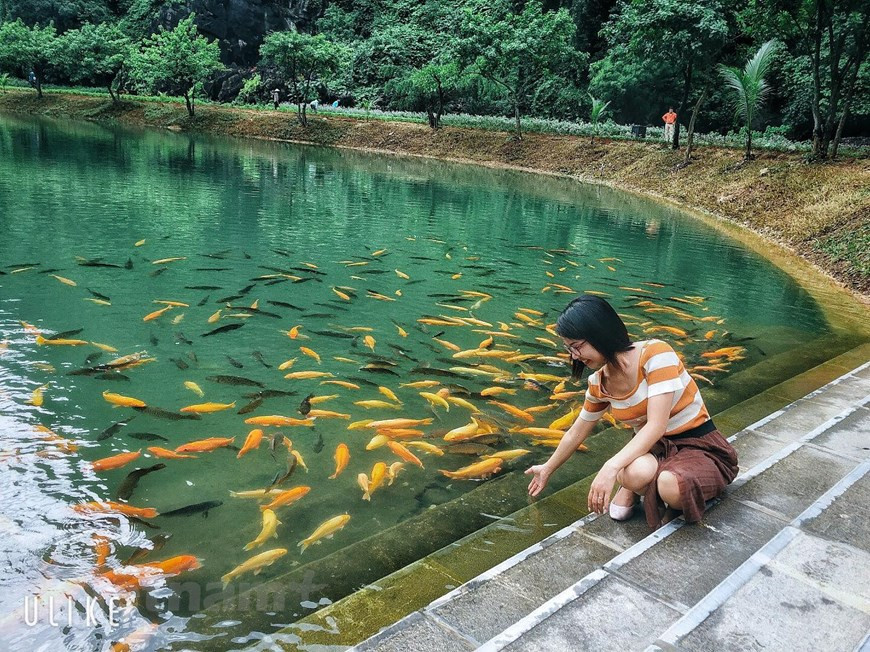 这里是年轻人一定来打卡的地方之一。vietnamplus记者 春梅 摄