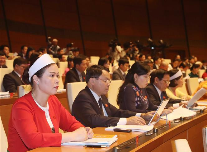 国会代表。越通社记者 统一 摄