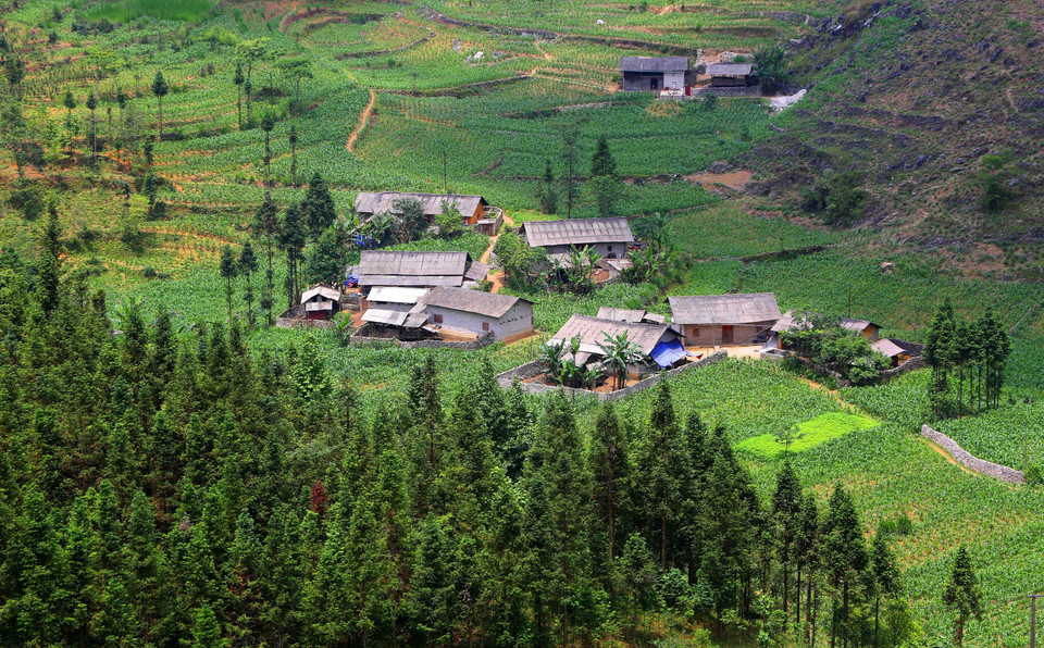 越南河江省夏日之美。越通社记者 诚达 摄