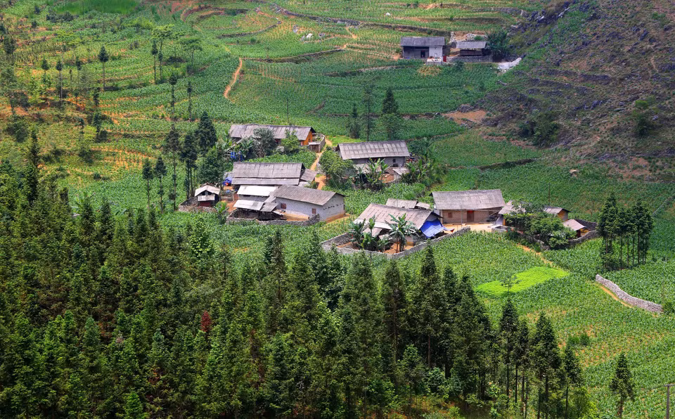 越南河江省夏日之美。越通社记者 诚达 摄