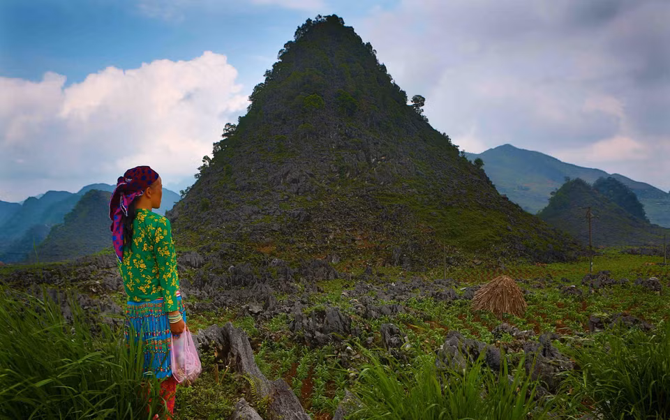 越南河江省夏日之美。越通社记者 诚达 摄