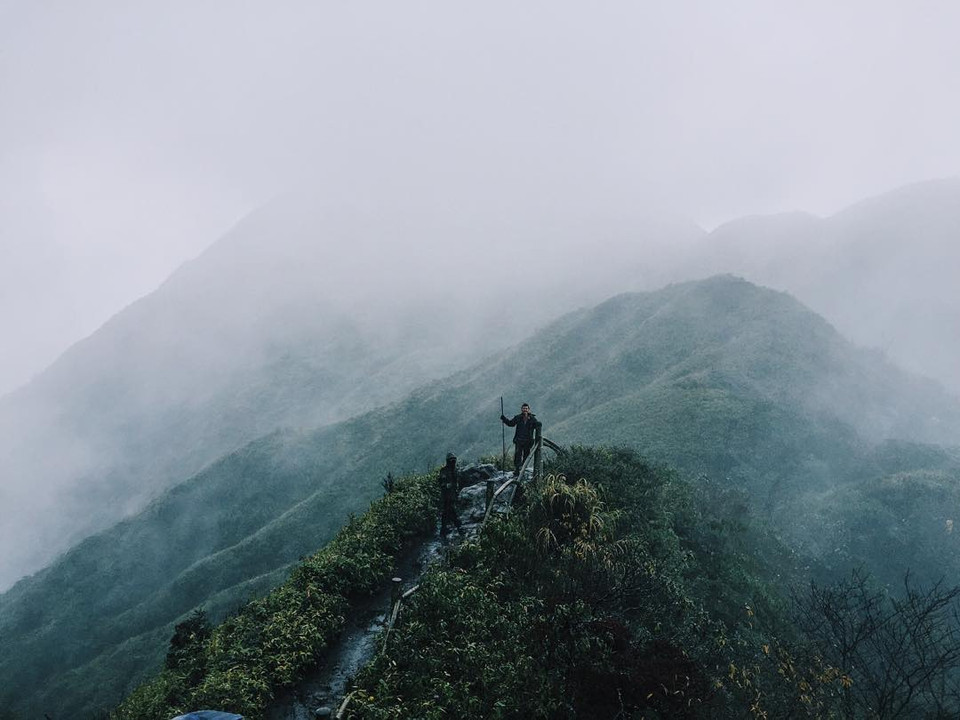 游客可在高山绿树的空间中深呼吸（图片来源：因特网）