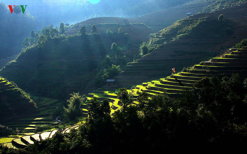 姆庚寨县梯田如诗如画（图片来源：越南之声）