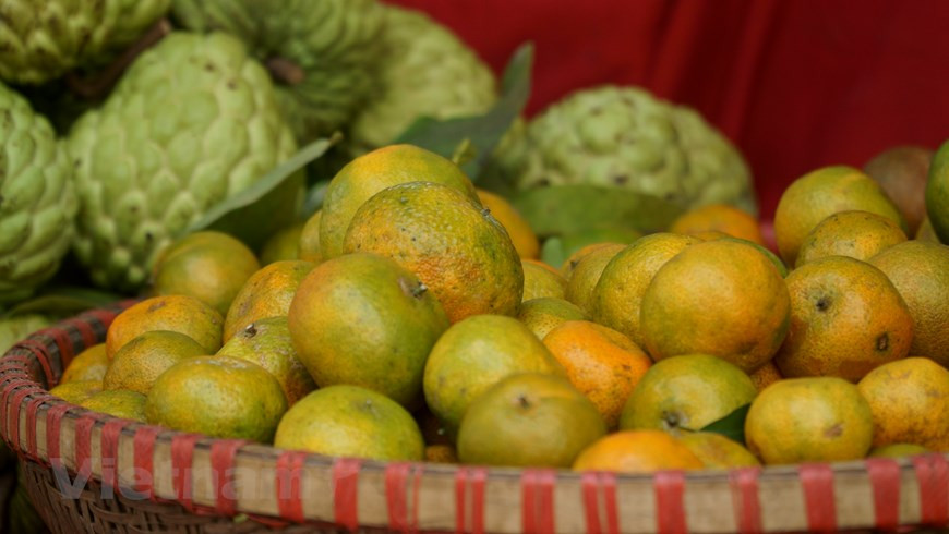 全国许多地方的土特产在此次博览会上展示。图自Vietnamplus