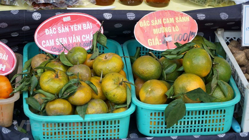 博览会还推介越南新鲜农产品。图自Vietnamplus