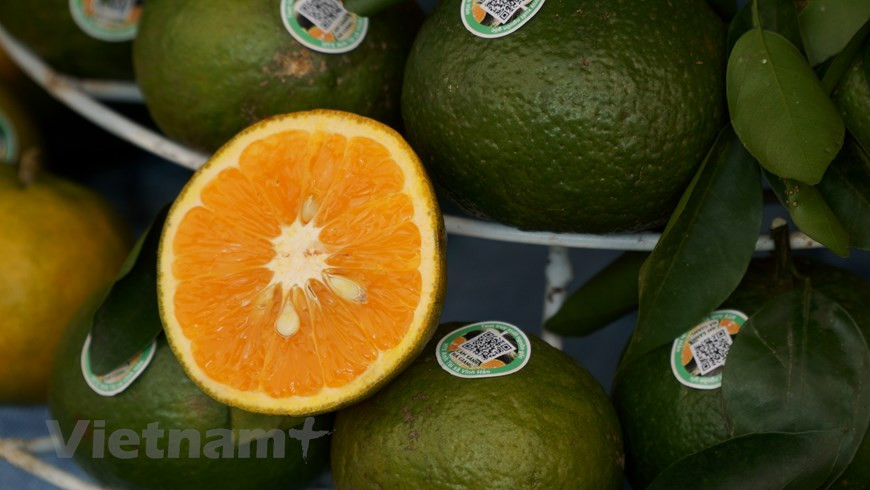 博览会还推介越南新鲜农产品。图自Vietnamplus