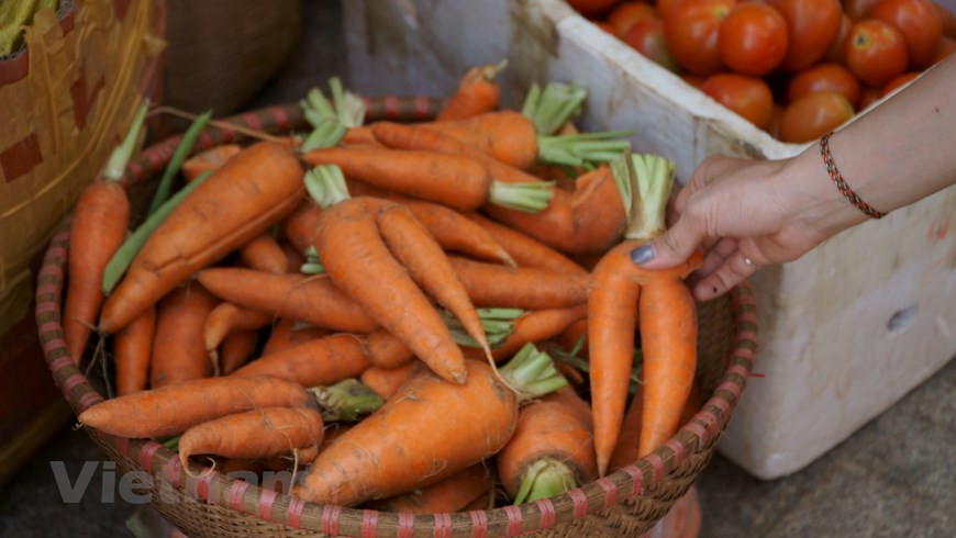 全国许多地方的土特产在此次博览会上展示。图自Vietnamplus