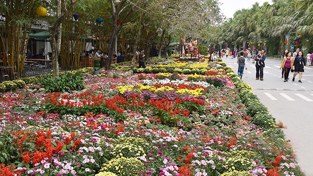 五颜六色的花街（图片来源：人民报）