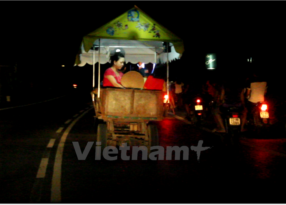 （图片来源：Vietnam+） （完）