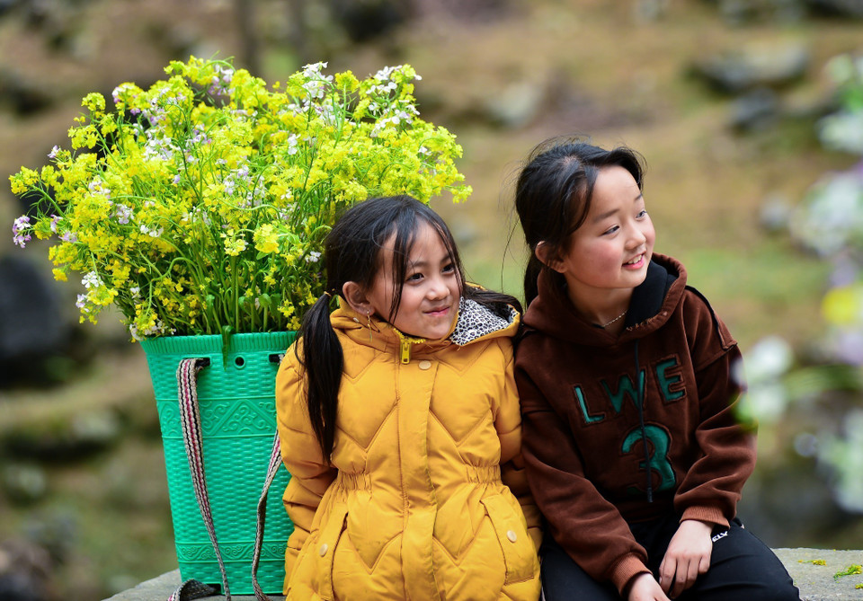 背着装满黄色油菜花篮子的孩子们在 沈马山坡上玩耍。图自 越通社
