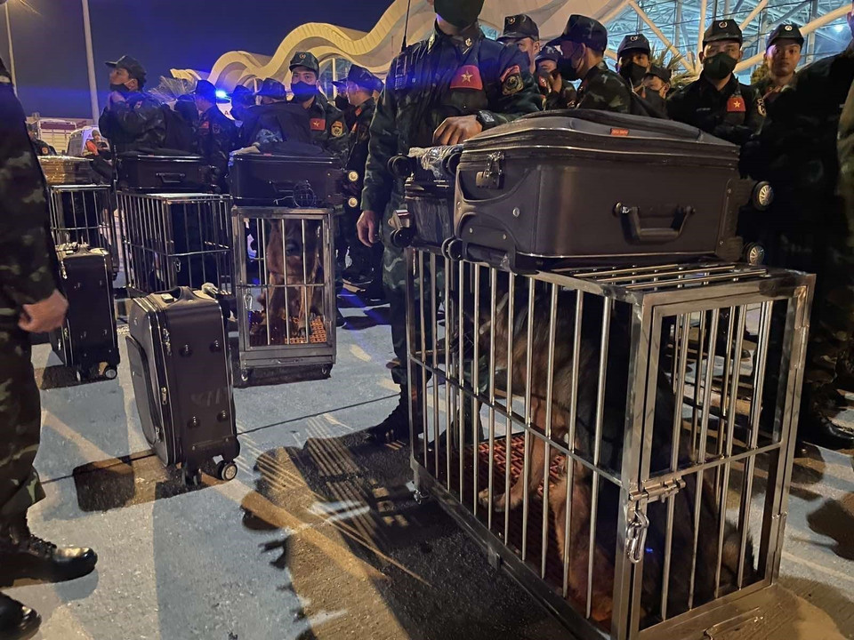 越南人民军救援力量携带各种物资和警犬，为搜救工作提供服务。图自 越通社