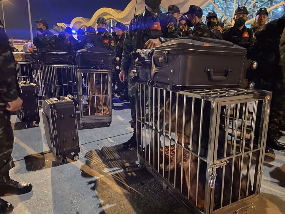 越南人民军救援力量携带各种物资和警犬，为搜救工作提供服务。图自 越通社