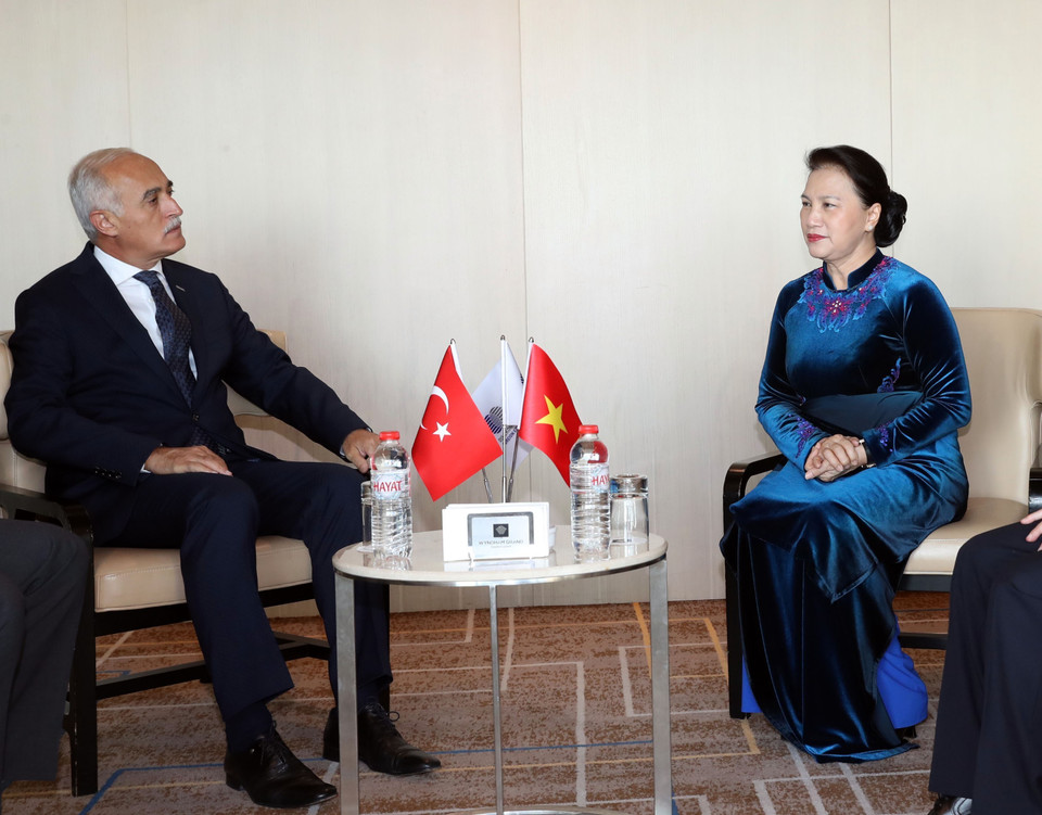 阮氏金银与土耳其对外经济关系委员会(DEIK)主席纳伊尔在会见中互相交换意见。越通社记者 仲德 摄