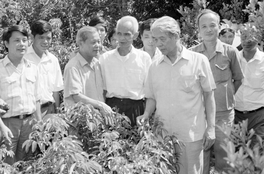 越共中央总书记杜梅1994年9月走访慰问北江省陆岸县周（Chũ)镇一户经济模范家庭。越通社记者 春林 摄