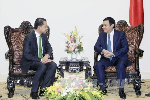 越南政府副总理王廷惠会见泰国泰华农民银行行长Teeranun Srihoong（图片来源：越通社）