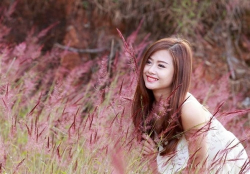 一般照相后，粉红色狗尾草将会粘在衣服上。粉红色狗尾草“地毯”很适合与朋友扎寨活动（图片来源：vnexpress.net）