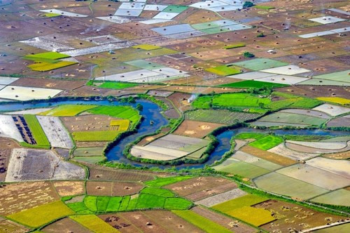 近年来，农民用机器收割稻谷，因此收割时间较快，游客观光之前应了解收割稻谷时间便于参观游览（图片来源：vnexpress.net）