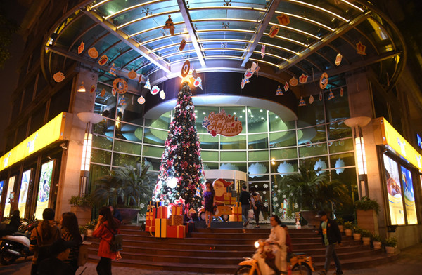 办公楼前点亮枞树。（图片来源：越南《人民报》）