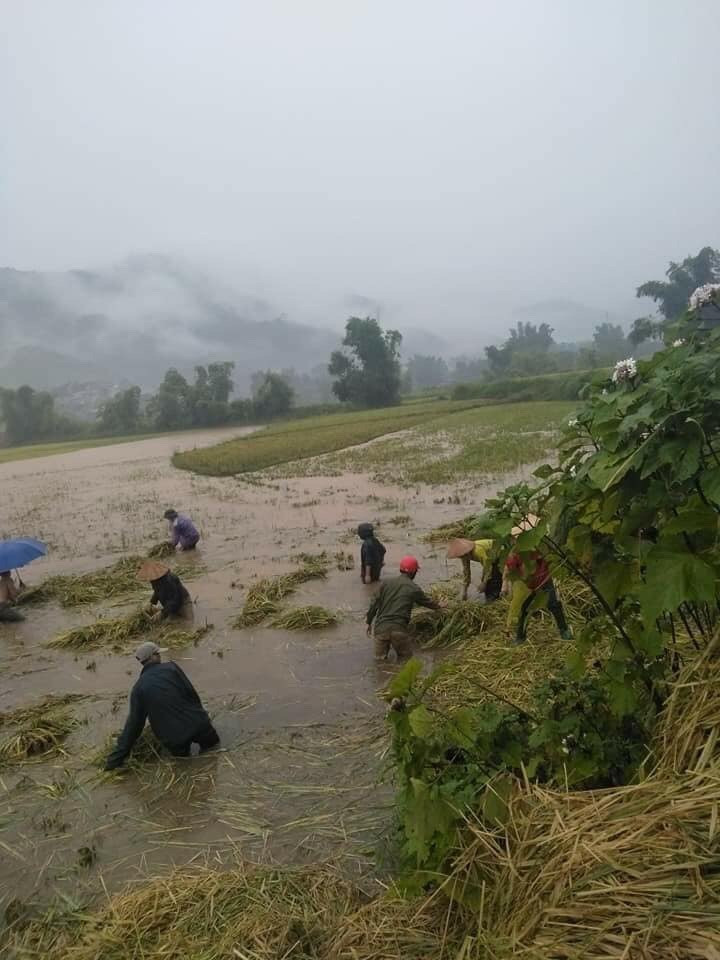 暴雨洪水给老街省造成损失。越通社记者 香秋 摄