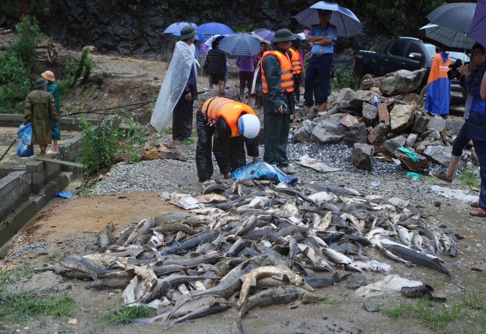 暴雨洪水给莱州省造成损失。越通社记者 贵忠 摄