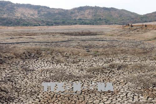 图为宁顺省一处的旱情。（图片来源：越通社）