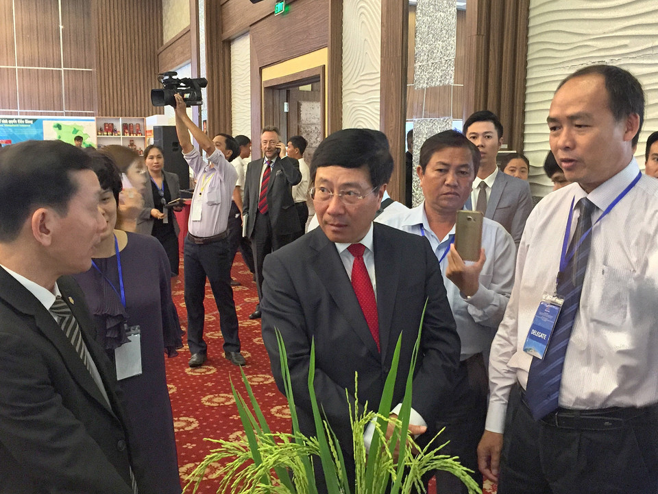 越南政府副总理兼外长范平明出席展览会。（图片来源：越通社）