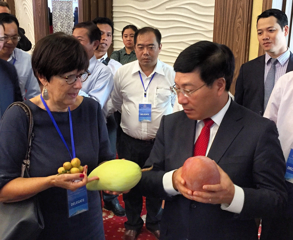 越南政府副总理兼外长范平明出席展览会。（图片来源：越通社）