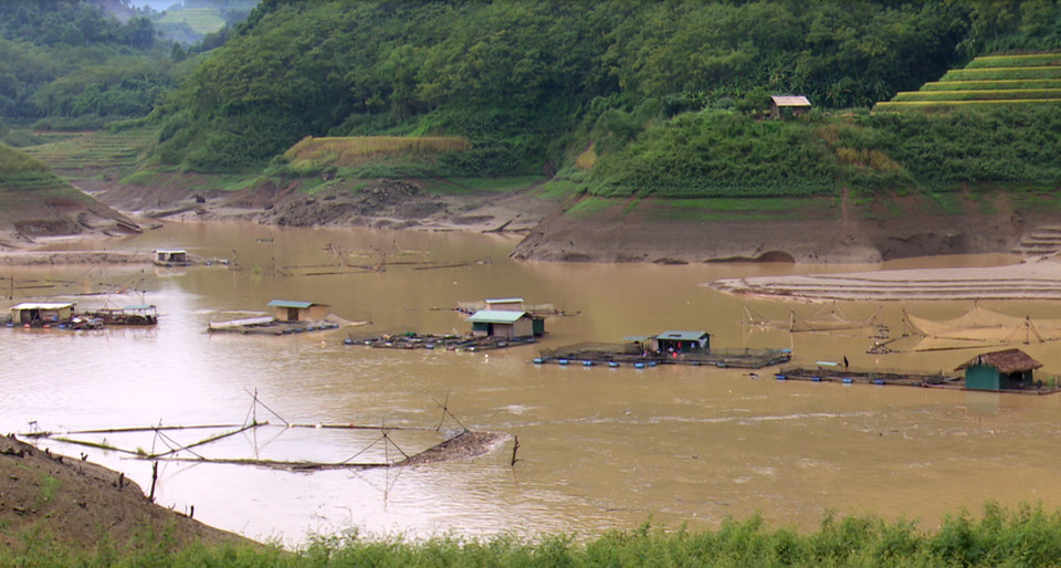 暴雨洪灾导致宣光省多条江河水位上涨，许多水产养殖户损失惨重。越通社记者 文子 摄