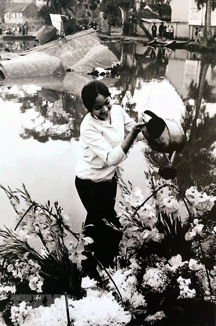 越南女孩在河内玉河村B-52轰炸机残骸边浇花。（图自越通社）
