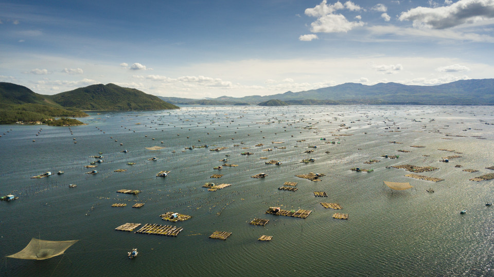 球江市春台湾龙虾养殖场。 越通社记者 仲达 摄