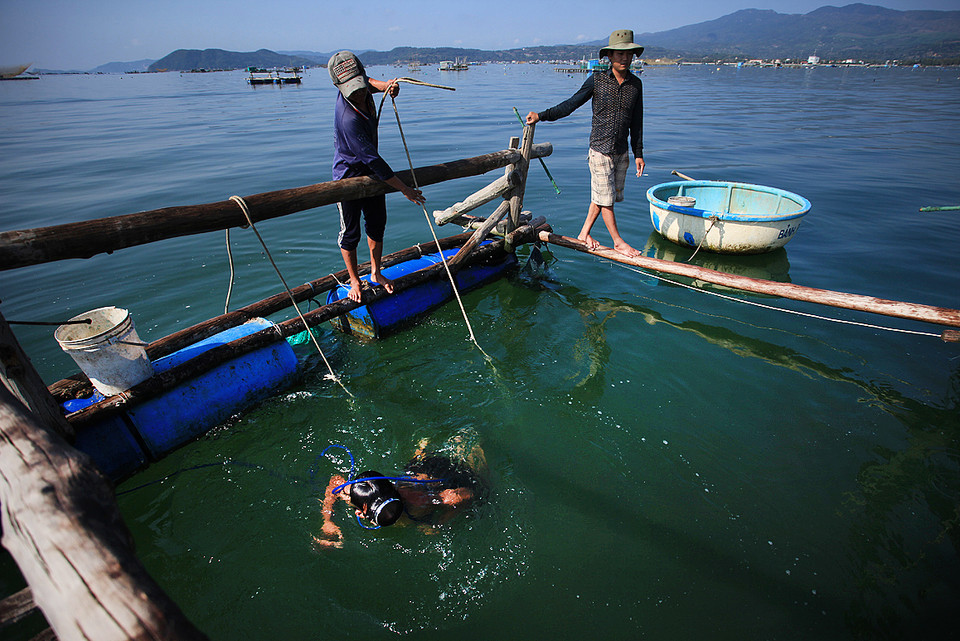 养殖户在为龙虾喂食。越通社记者 仲达 摄