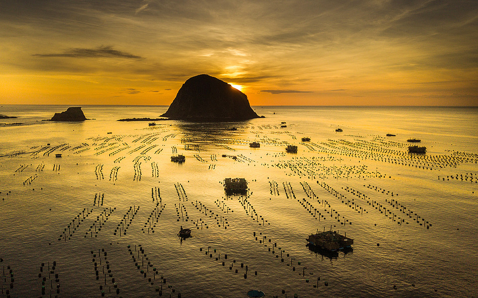 绥安县燕岛龙虾养殖场。 越通社记者 仲达 摄