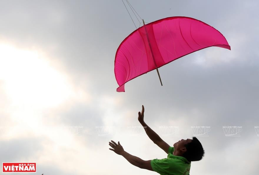 海燕 摄将风筝放飞。越南画报记者 海燕 摄