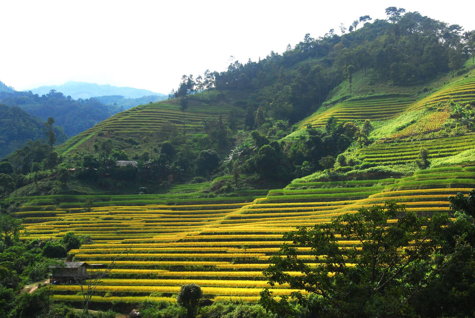 黄树腓梯田美景。 越通社记者 陶氏明心 摄