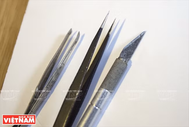 制作工具有镊子、剪刀、刀子等。越南画报记者 阮伦/通海 摄