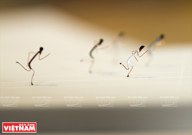 马拉松赛跑冲刺 越南画报记者 阮伦/通海 摄 