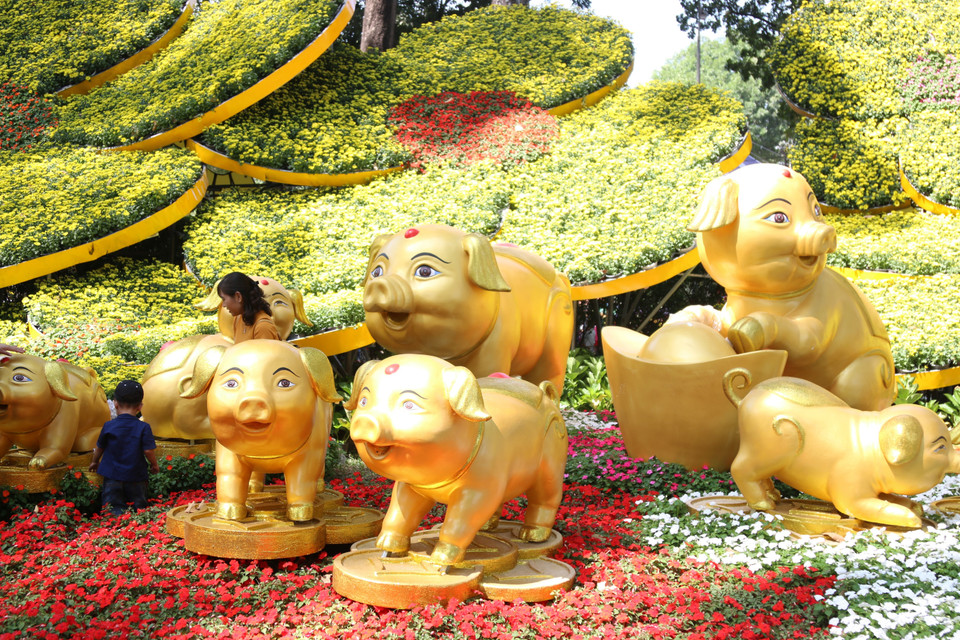 今年花卉展展示花卉盆景等3000多个产品，其中包括各种兰花、鸡蛋花、桃花、梅花、杜鹃、玫瑰花、蓝花藤、紫阳花等。越通社记者 陈春情 摄