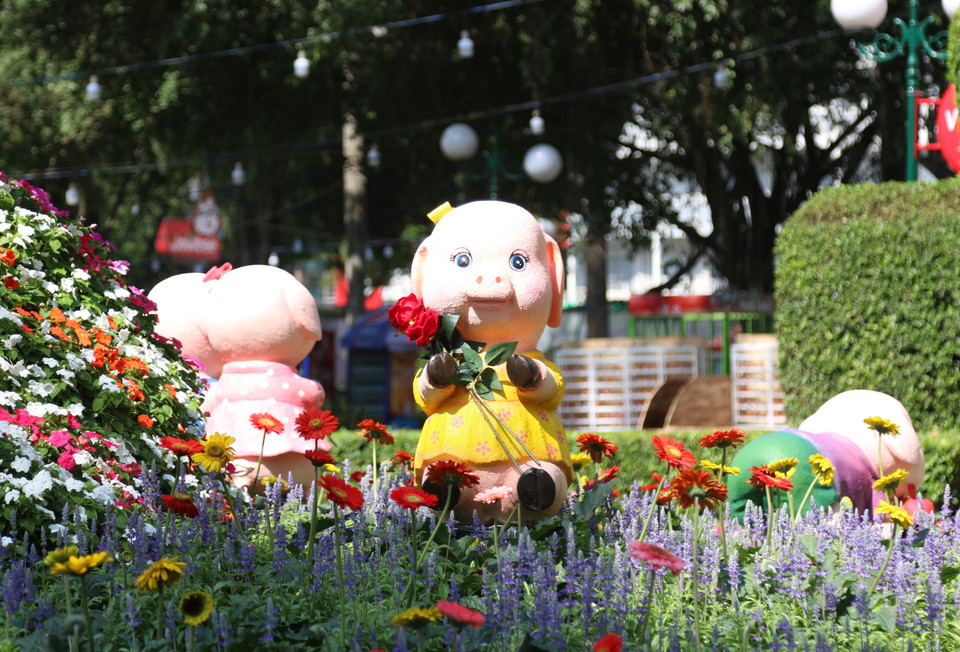 一年一度的花卉展有助于满足人民群众的精神文化生活需求，同时保护与弘扬传统春节的价值。越通社记者 陈春情 摄