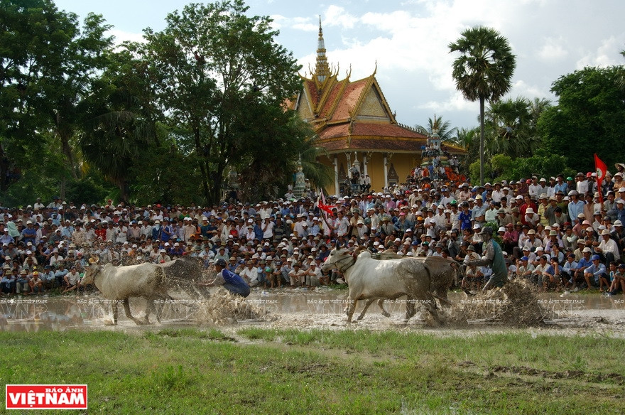 安江省静边县七山赛牛节。图/本报资料
