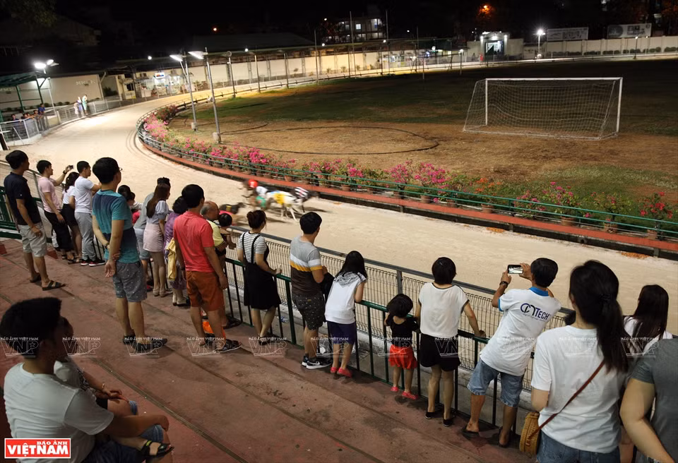 赛犬专注兴奋的表现让场边的观众们欢呼连连。图自越南画报