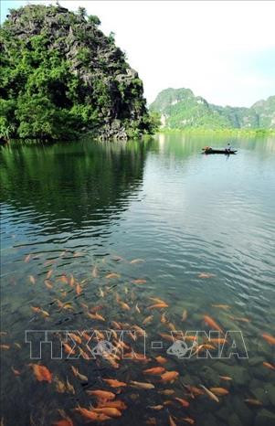 长安名胜群成为热爱大自然和旅游的人们的“约会之地”。图自越通社