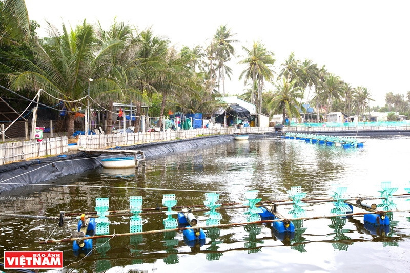 富安省南滩生态旅游景区附近的水产养殖场。图自越通社