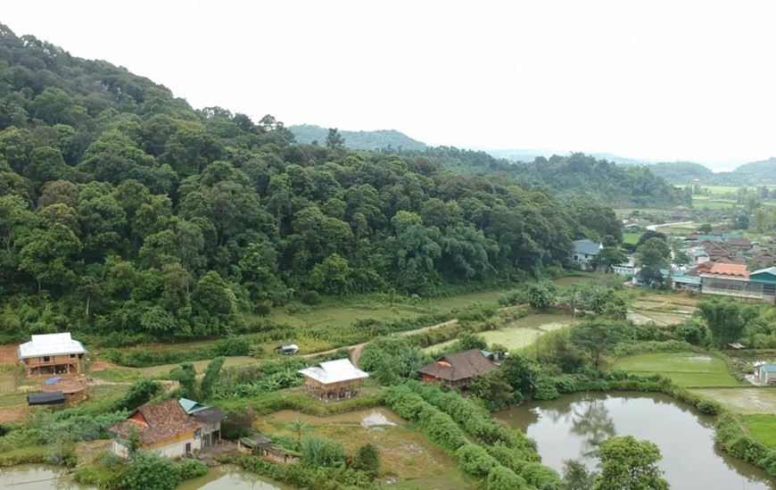 具体，奠边府战役指挥部处于离开芒峰乡中心1个公里的1号锋村。越通社记者 春进 摄