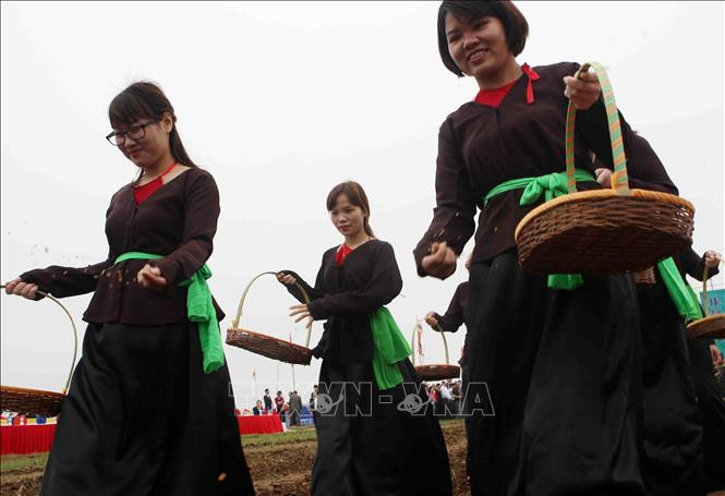 村女进行播种。越通社记者 青松 摄