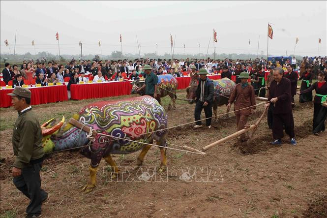 政府副总理张和平行籍田礼。越通社记者 青松 摄