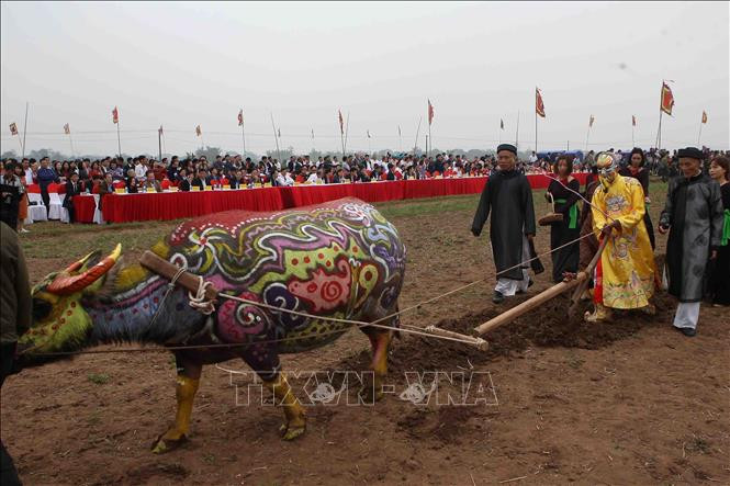 籍田礼场景。越通社记者 青松 摄